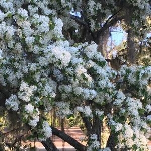 Meet your Posher, Beverley